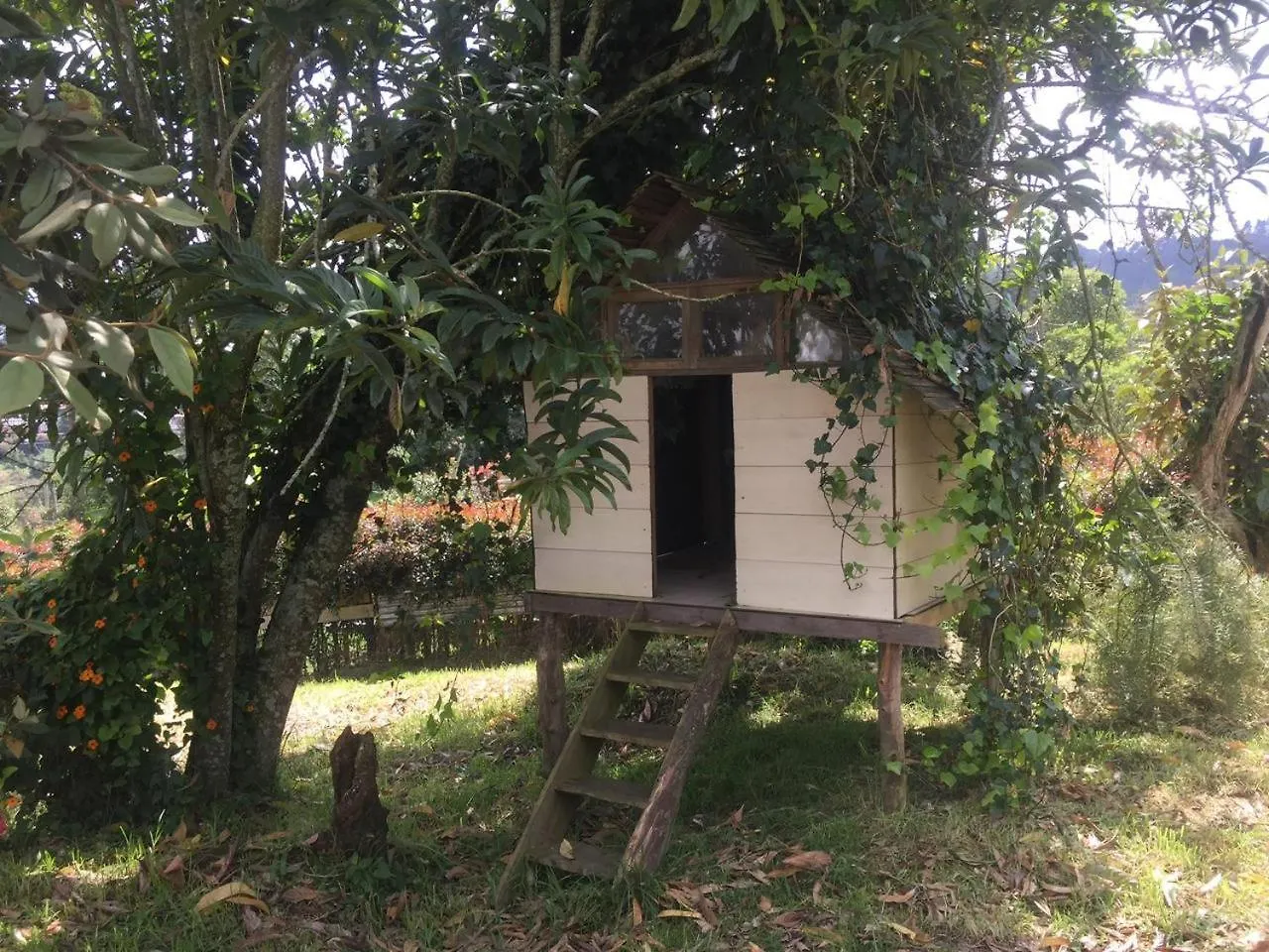 Espectacular Casa Finca En El Corazon De Santa Elena Medellin Colombia